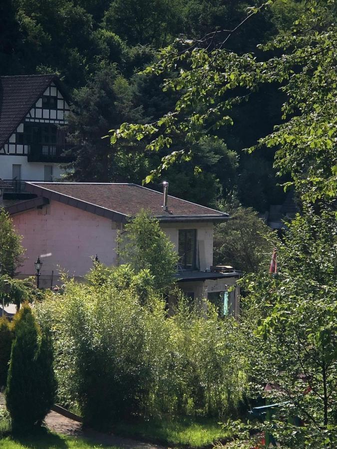 Ferienhaus Waldbaden Im Nationalpark Eifel- Am Bach Schleiden Exterior photo