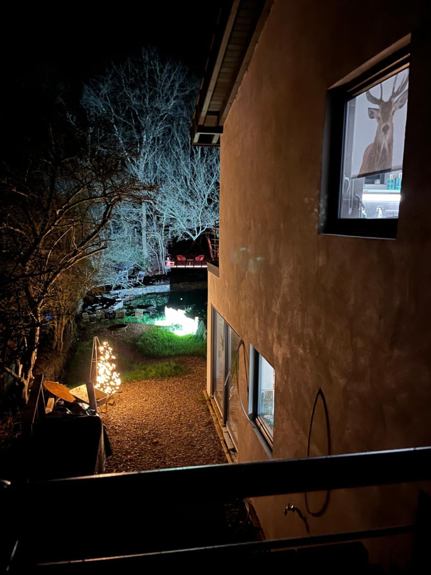 Ferienhaus Waldbaden Im Nationalpark Eifel- Am Bach Schleiden Exterior photo